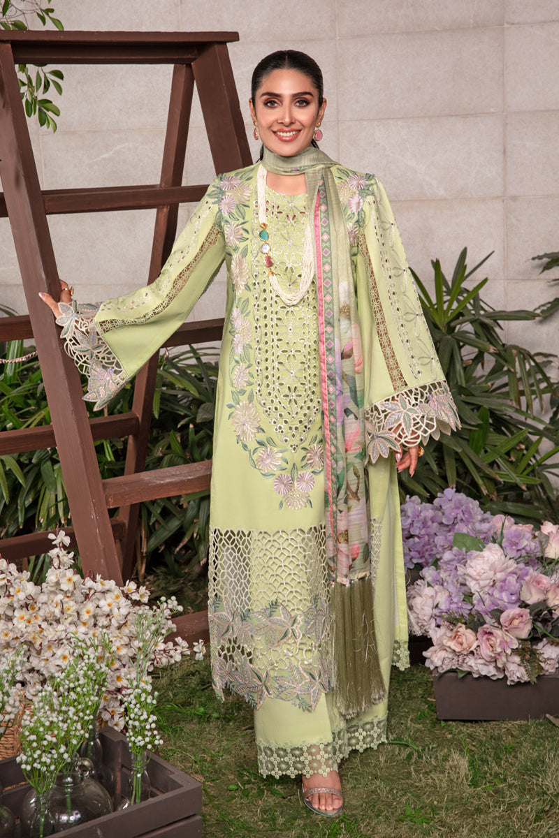 Rang Rasiya Embroidered Lawn Suits Unstitched 3 Piece RR24PE D-10 Geeti - Summer Eid Collection-