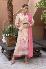 Carnation By Rang Rasiya Embroidered Karandi Suit Unstitched 3 Piece RR24CE D-02 Pinar - Winter Collection