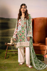 M Basic by Maria B Embroidered Arabic Lawn Suits Unstitched 3 Piece MB25PF MB-02 B - Summer Collection
