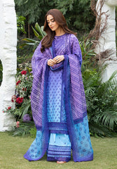 Sobia Nazir Embroidered Lawn Suit Unstitched 3 Piece SN25LL D-12B - Summer Collection