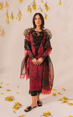 Asifa & Nabeel Meraki Summer Collection'23 - MKL-11