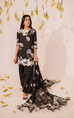 Asifa & Nabeel Meraki Summer Collection'23 - MKL-14