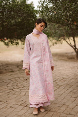 Ayzel by Afrozeh Embroidered Lawn Suits Unstitched 3 Piece D-06 Selis - Core Collection