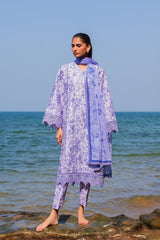 Endless by Afrozeh Embroidered Lawn Suits Unstitched 3 Piece AF25ES D-06 Verve - Summer Collection