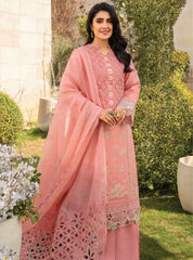 Rang Rasiya Embroidered Lawn Suits Unstitched 3 Piece RR24PE D-07 Parisa - Summer Eid Collection--