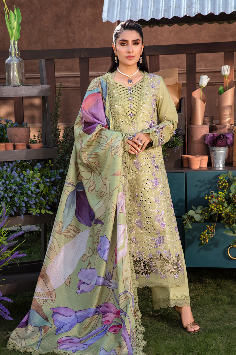 Rang Rasiya Embroidered Lawn Suits Unstitched 3 Piece RR24PE D-08 Aysel - Summer Eid Collection