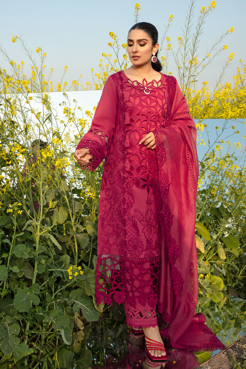 Rang Rasiya Embroidered Lawn Suits Unstitched 3 Piece RR24PE D-05 Maya - Summer Eid Collection