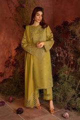 Rang Rasiya Premium Embroidered Karandi Suit Unstitched 3 Piece D-10 Cardamom - Winter Collection