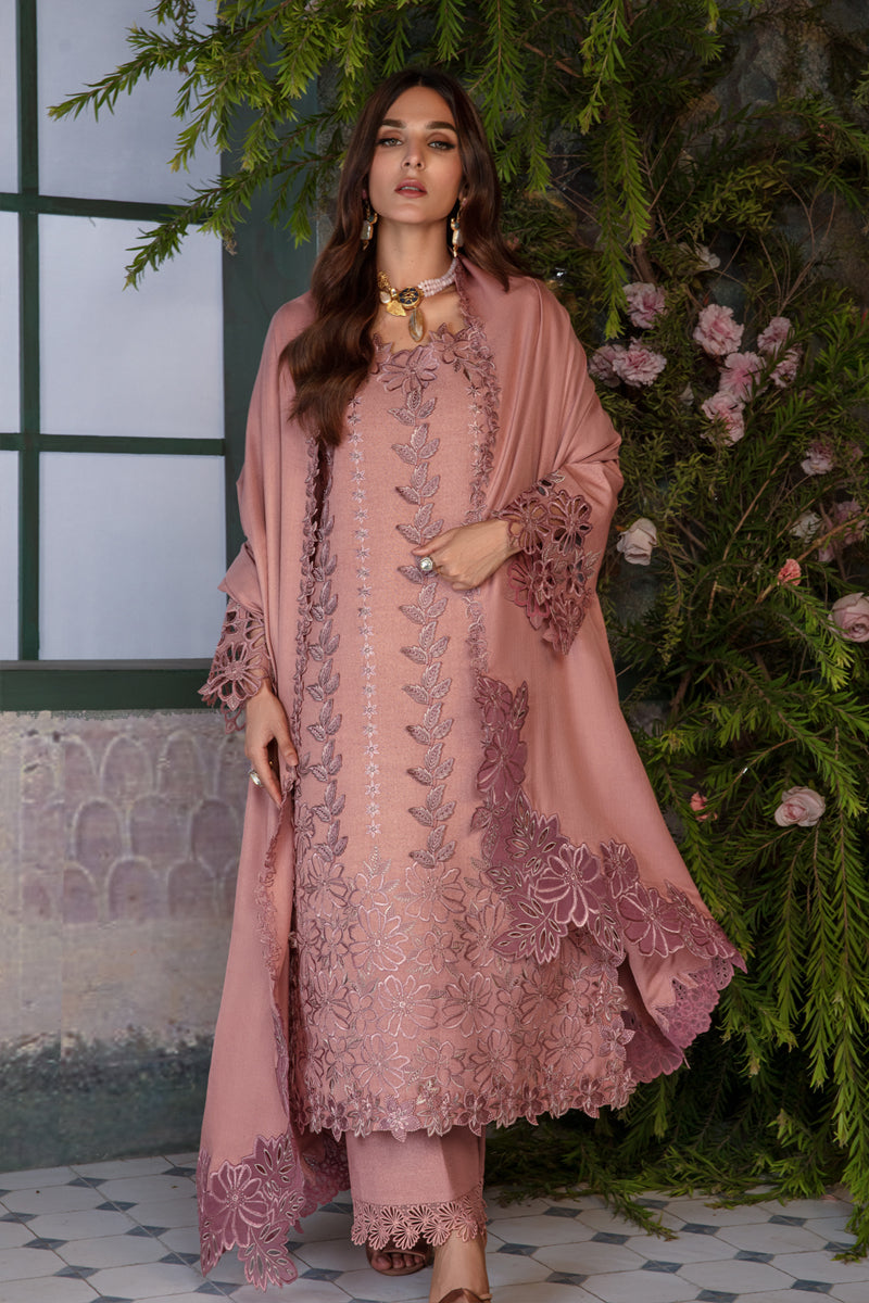 Rang Rasiya Premium Embroidered Karandi Suit Unstitched 3 Piece D-11 Chai - Winter Collection