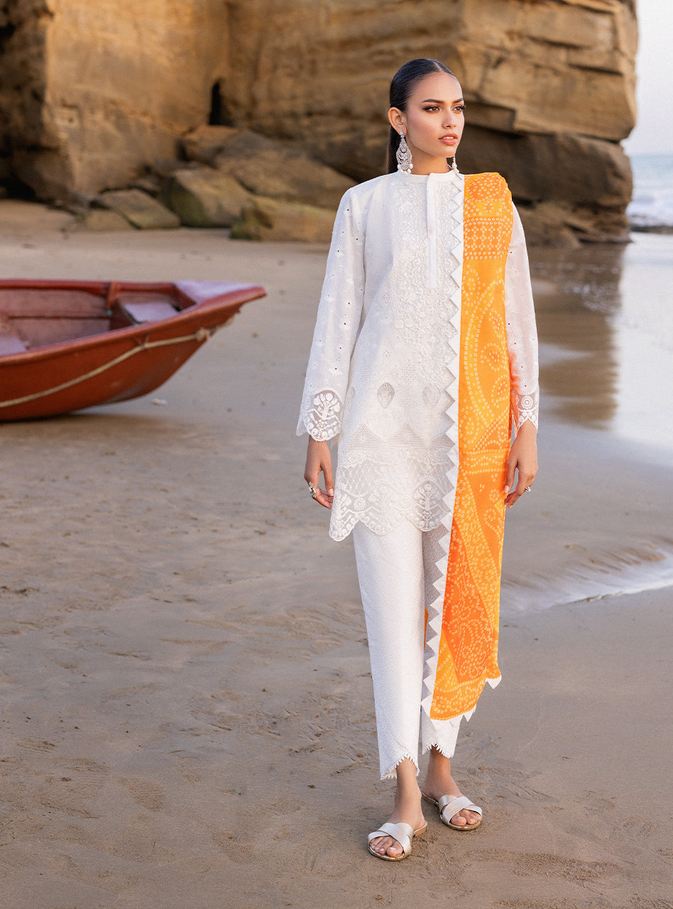 Zainab Chottani Chikankari Lawn Suits Unstitched 3 Piece ZC24CL D-3B Chunari-