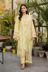 Lifestyle by Rang Rasiya Embroidered Lawn Suits Unstitched 3 Piece RR25LS D-11 Olivine - Summer Collection