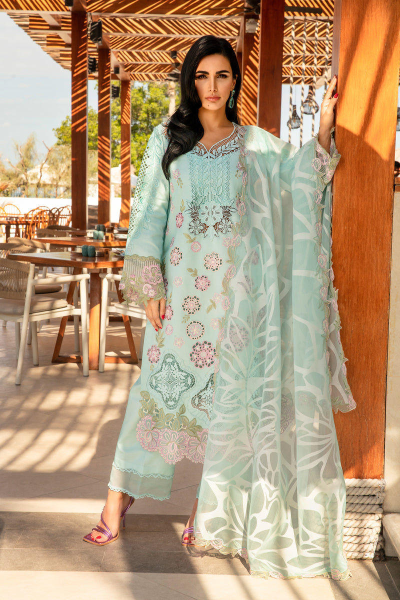 Rang Rasiya Embroidered Lawn Suits Unstitched 3 Piece RR25PS D-09 Mahsa - Summer Collection
