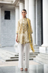 41907225-Blended Crinkle Chiffon &amp; Slub Lawn – Brown Printed 2PC