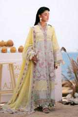 Dastan by AJR Embroidered Lawn Suits Unstitched 3 Piece AJR25D ALL-03 Azure - Luxury Collection
