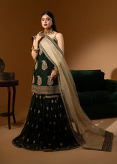 Hem-Stitch Luxury Unstitched Wedding Collection - Dhani-03