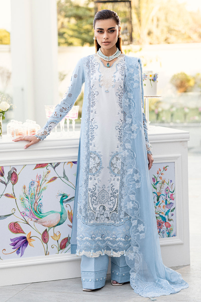 Qalamkar Chikankari Lawn Suit Unstitched 3 Piece QLM25CE CS-01 Tasha - Summer Collection