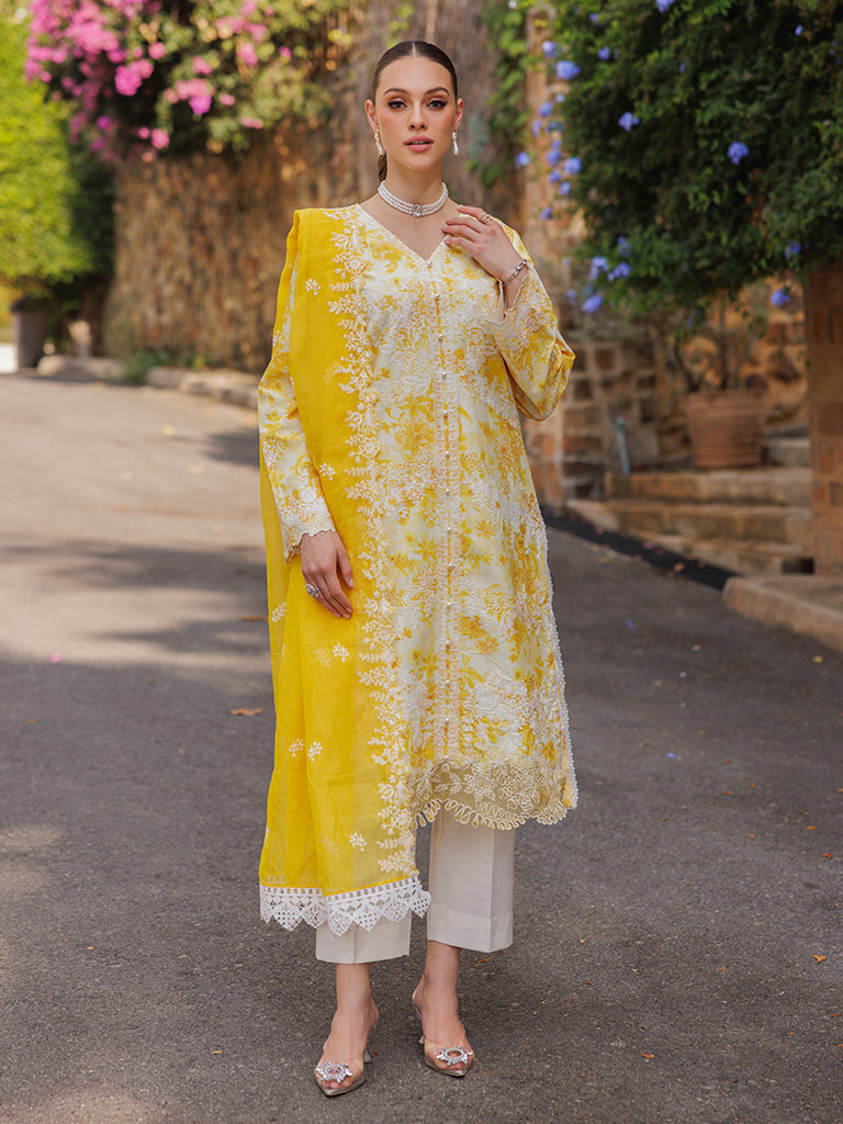 Nisa by RajBari Chikankari Embroidered Lawn Suits Unstitched 3 Piece RB25A D-01 - Summer Collection