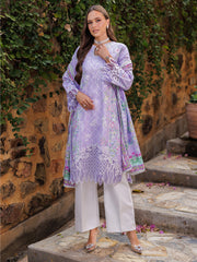 Nisa by RajBari Chikankari Embroidered Lawn Suits Unstitched 3 Piece RB25A D-11FS - Summer Collection