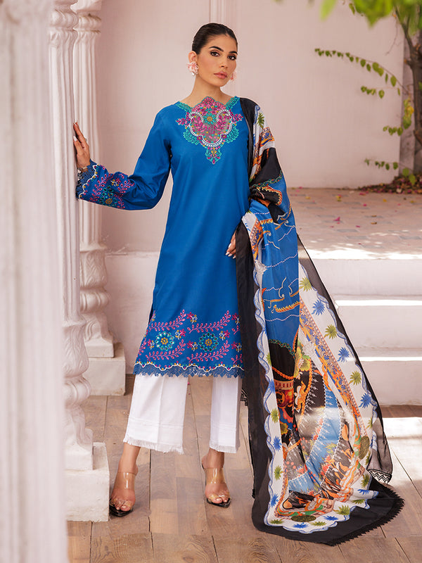 Nisa by RajBari Chikankari Embroidered Lawn Suits Unstitched 3 Piece RB25A D-04 - Summer Collection