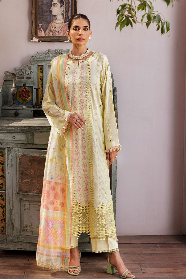 Nisa by RajBari Chikankari Embroidered Lawn Suits Unstitched 3 Piece RB25A D-09 - Summer Collection