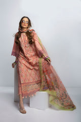Sobia Nazir Vital Embroidered Lawn Suits Unstitched 3 Piece V23V2-10B - Summer Collection