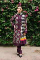 Zara Shahjahan Coco Winter - 3B