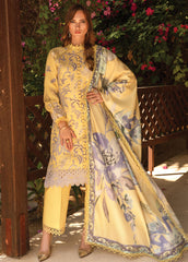 Rang Rasiya Embroidered Lawn Suits Unstitched 3 Piece RR24C D-06 - Summer Collection