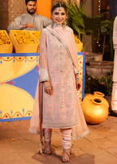 Chamak Damak by Asim Jofa Embroidered Chiffon Unstitched Suit 3 Piece AJ24CD AJCD-14 - Festive Collection