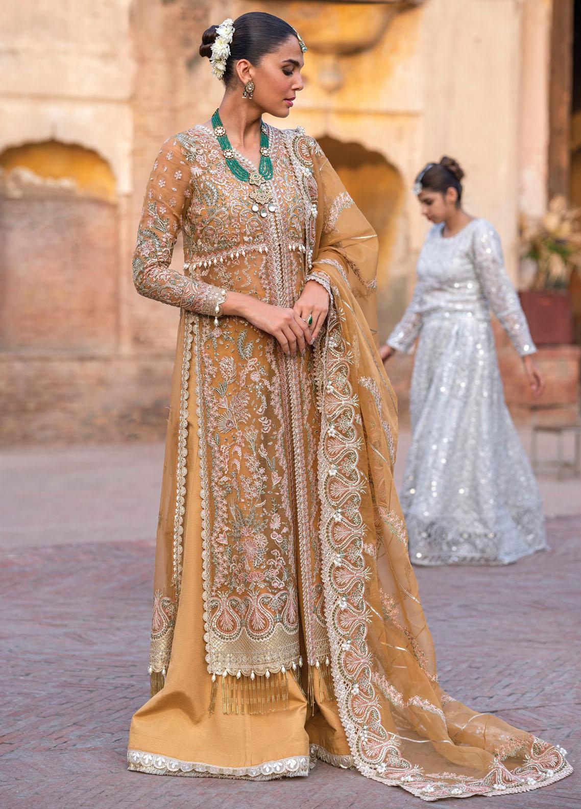 Dastangoi By Afrozeh Embroidered Suits Unstitched 3 Piece AF23DG AWE-23-V1-09 Shafaq - Wedding Collection