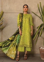 Rang Rasiya Embroidered Lawn Suits Unstitched 3 Piece RR25F 12 Ariana - Summer Collection