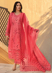 Rang Rasiya Embroidered Lawn Suits Unstitched 3 Piece RR24PS D-05 Natalia - Summer Collection