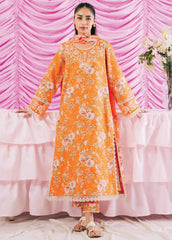 Rinesa By Ayzel Embroidered Lawn Suit Unstitched 3 Piece AAF24R D-02 Eli - Summer Collection